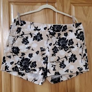 JCREW stretch, like new size 14 shorts